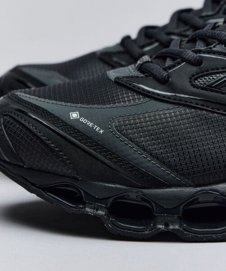 【新品未使用】MIZUNO WAVE PROPHECY GTX 29.0