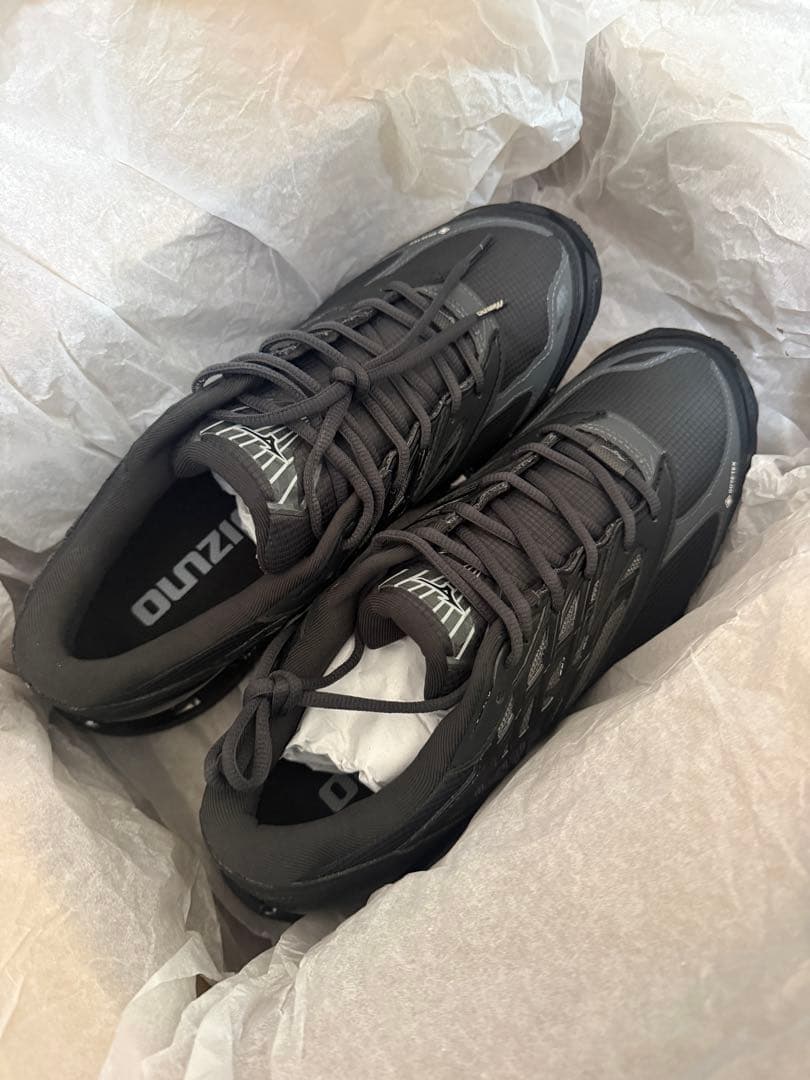 【新品未使用】MIZUNO WAVE PROPHECY GTX 29.0