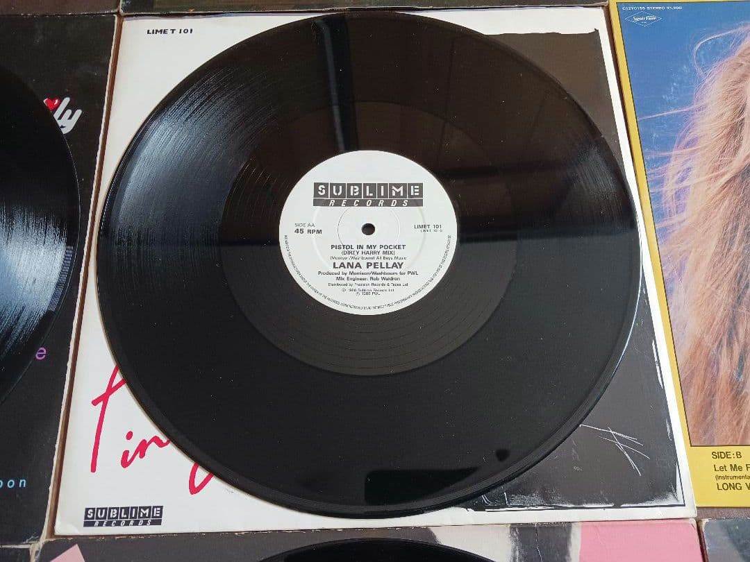 ハイエナジーディスコ《レコード》12インチ盤9枚セット まとめ売り.ユーロビート