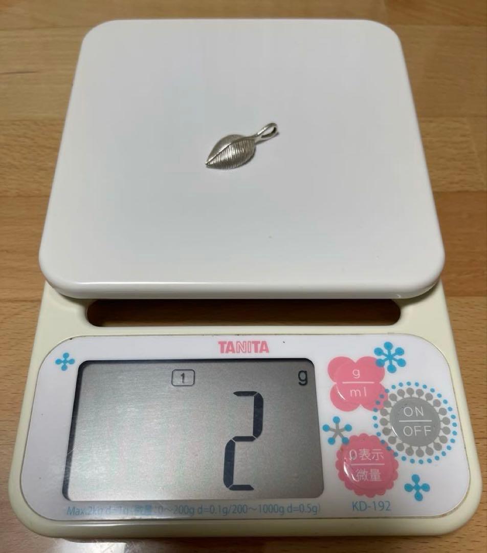 イーグルクローフェザーネックレス　トップ　シルバー925