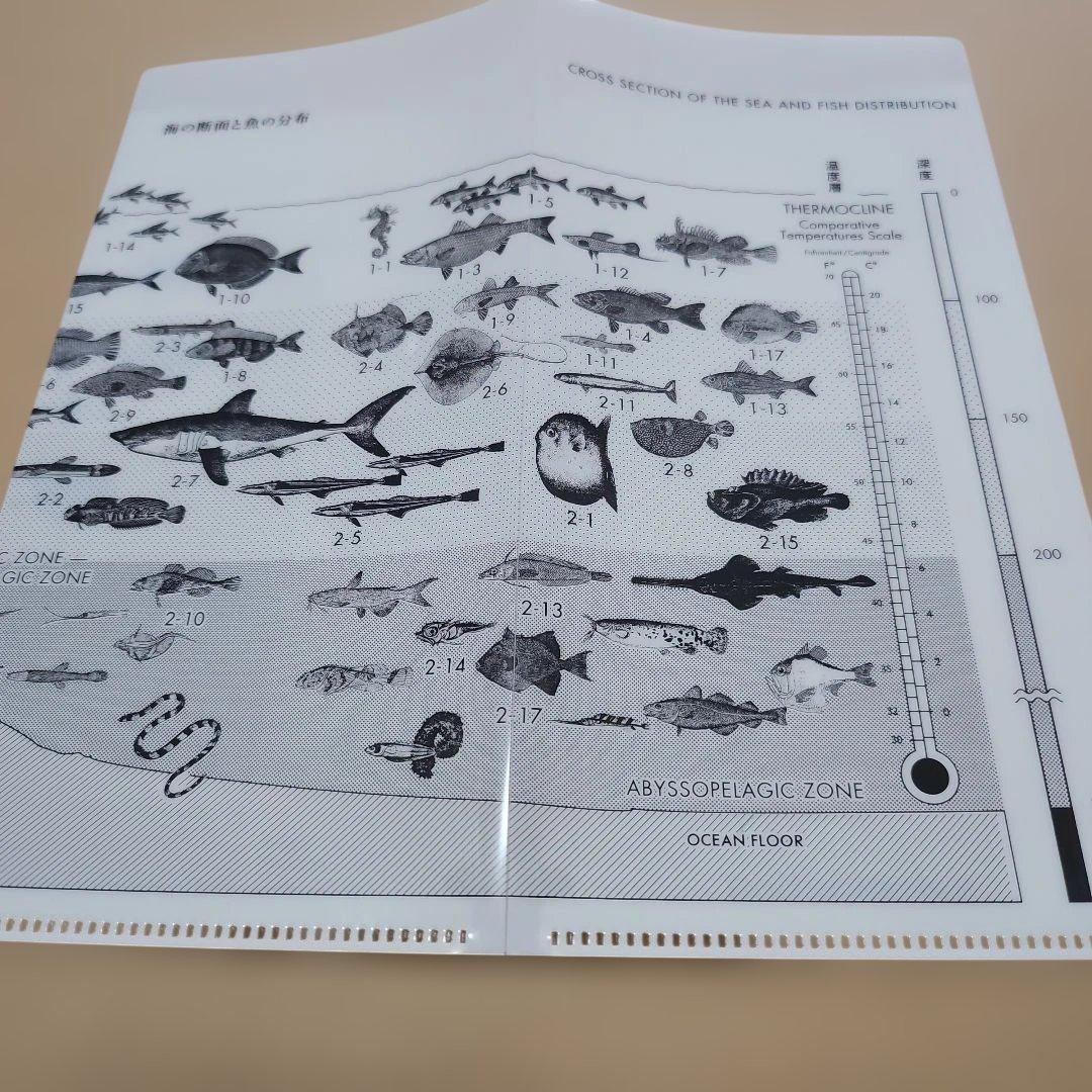 【初回生産限定版】魚図鑑/サカナクション　２CD+おまけ