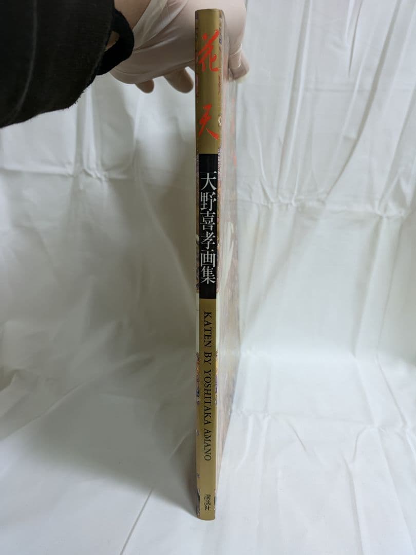天野喜孝画集　花天
