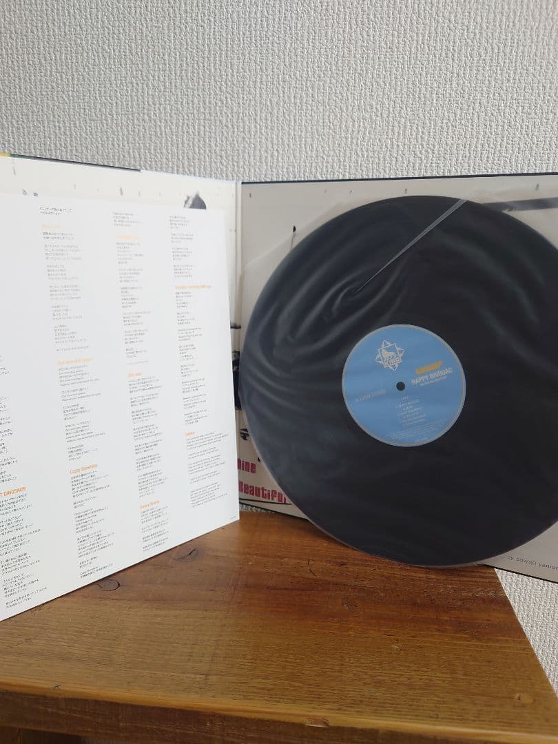 the pillows 　HAPPY BIVOUAC　LP　レコード