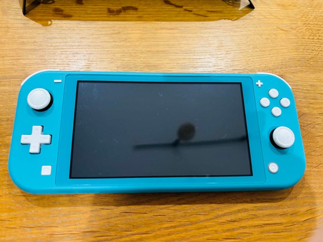 Nintendo Switch Lite（ターコイズ）ジャンク品　専用ケース付き