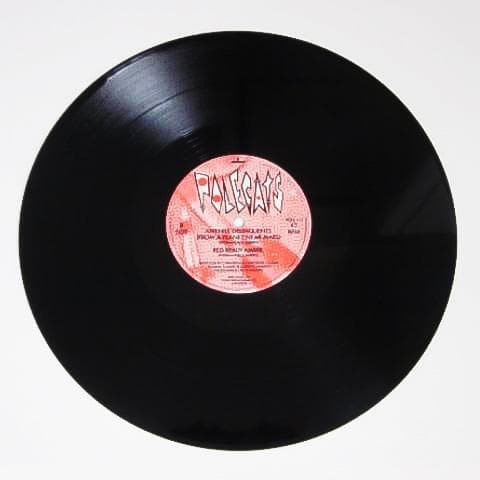 激レア盤 12\"インチレコード POLECATS ポールキャッツ ネオロカビリー