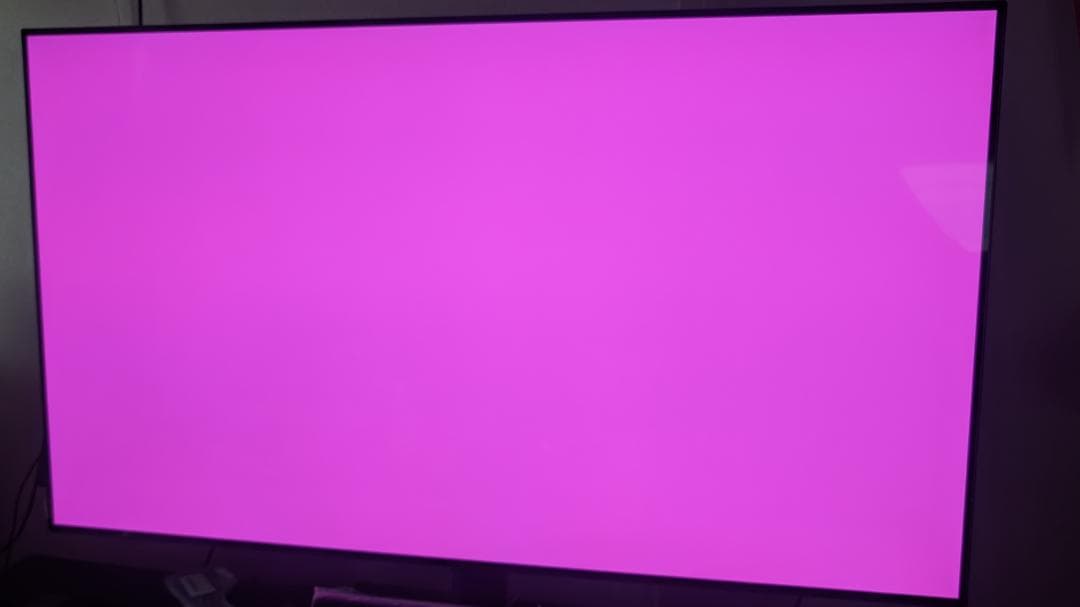 LG 55V型 4K有機EL AI テレビ OLED55B4PJA