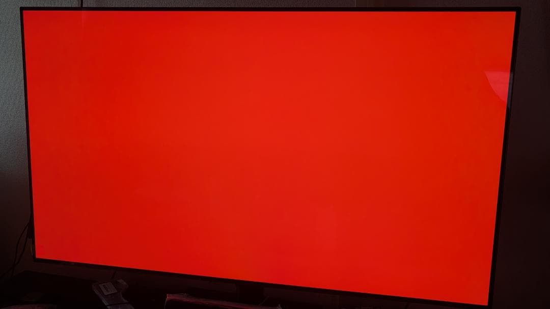 LG 55V型 4K有機EL AI テレビ OLED55B4PJA