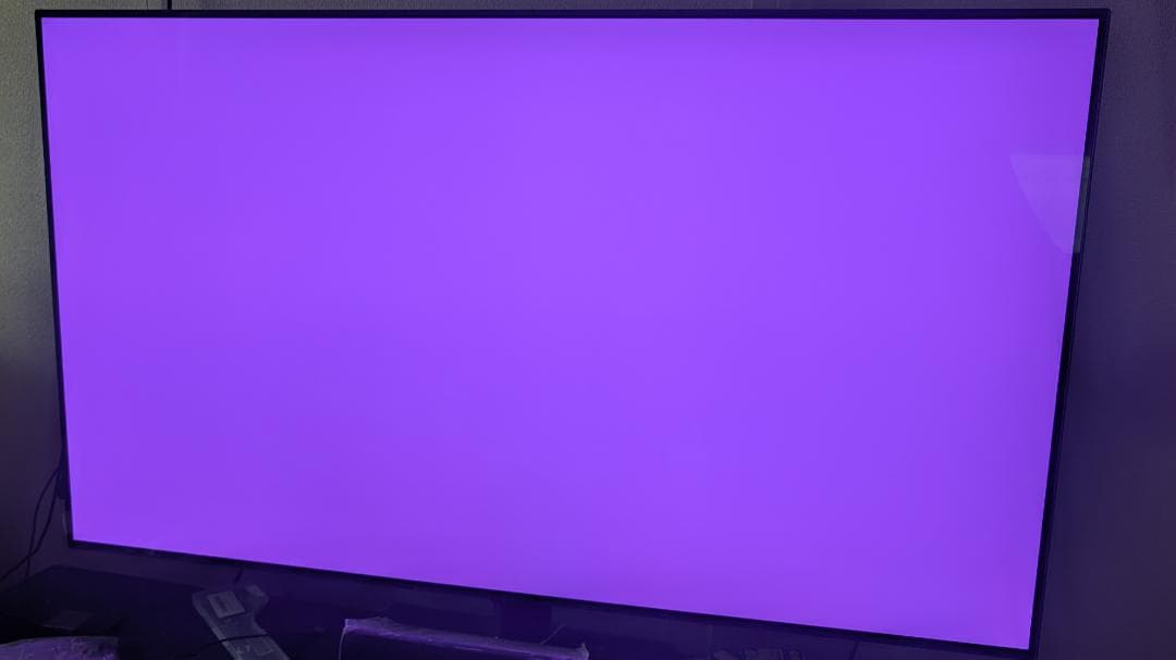 LG 55V型 4K有機EL AI テレビ OLED55B4PJA