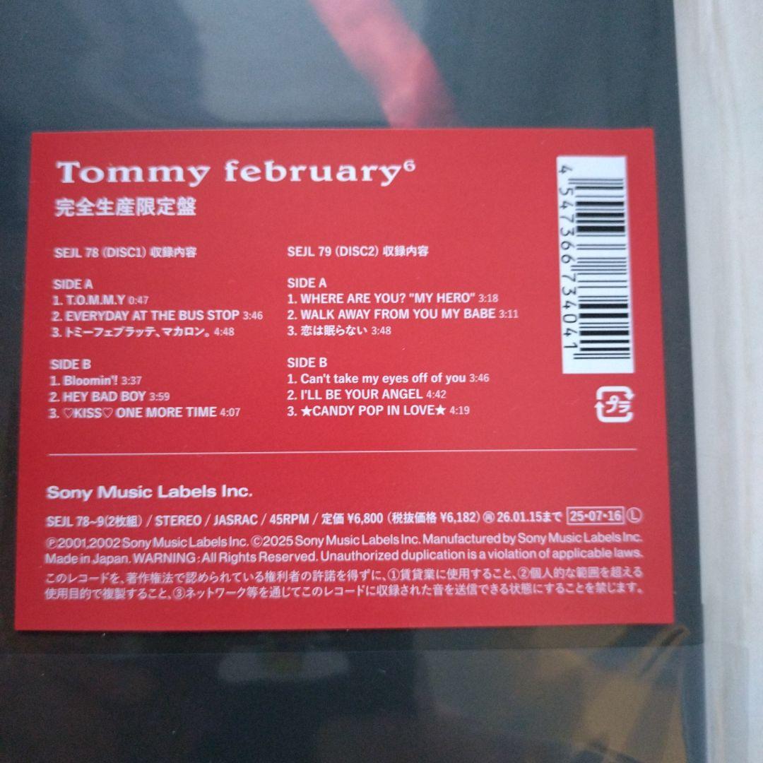 新品未開封 初回限定生産版 アナログ版  february6 レコード