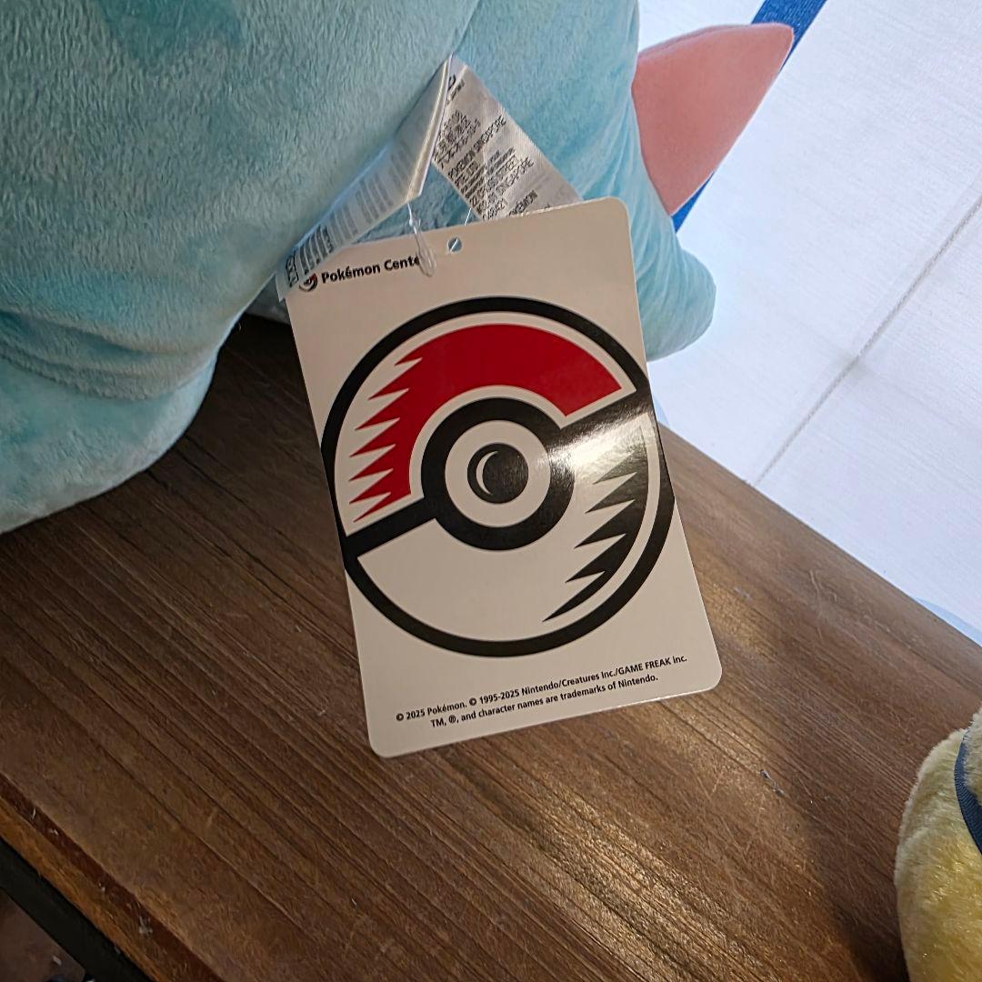 ポケモン　ぬいぐるみ　ワニノコ　等身大　ポケモンセンター 公式　新発売