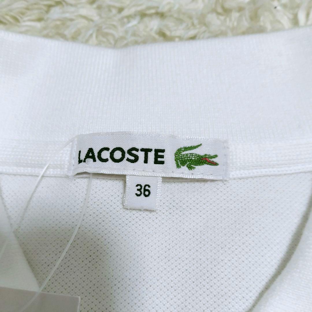 ♦最終♦新品レア LACOSTE×PEANUTS ポロシャツ スヌーピー60周年