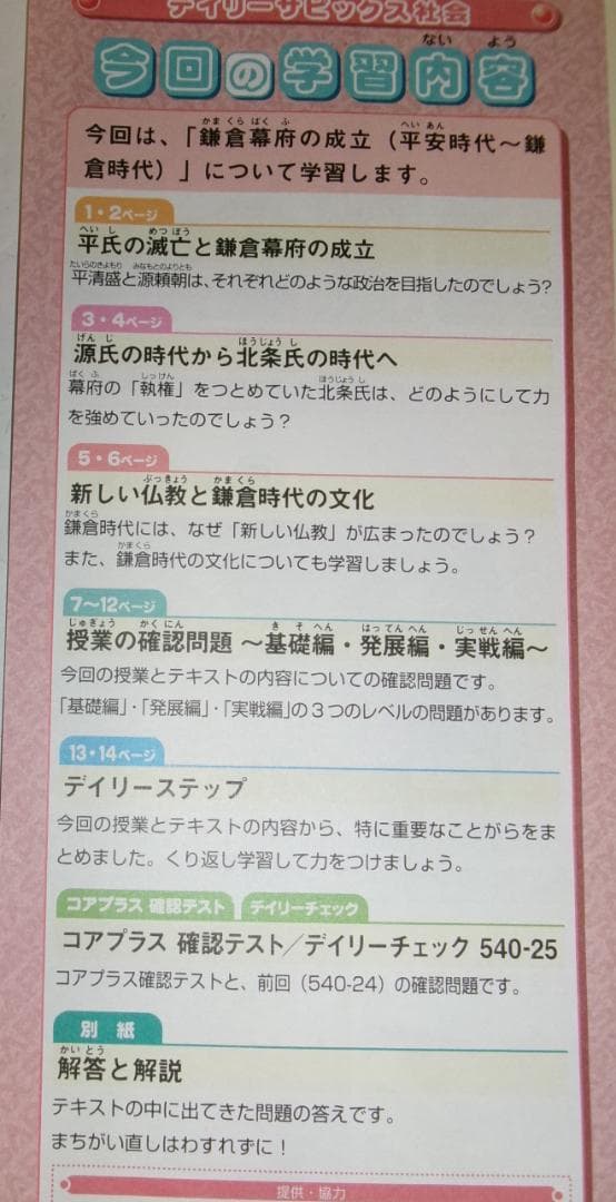 サピックス＊デイリーウインターサピックス＊５年＊社会＊全３９回完全版＊２０２４年