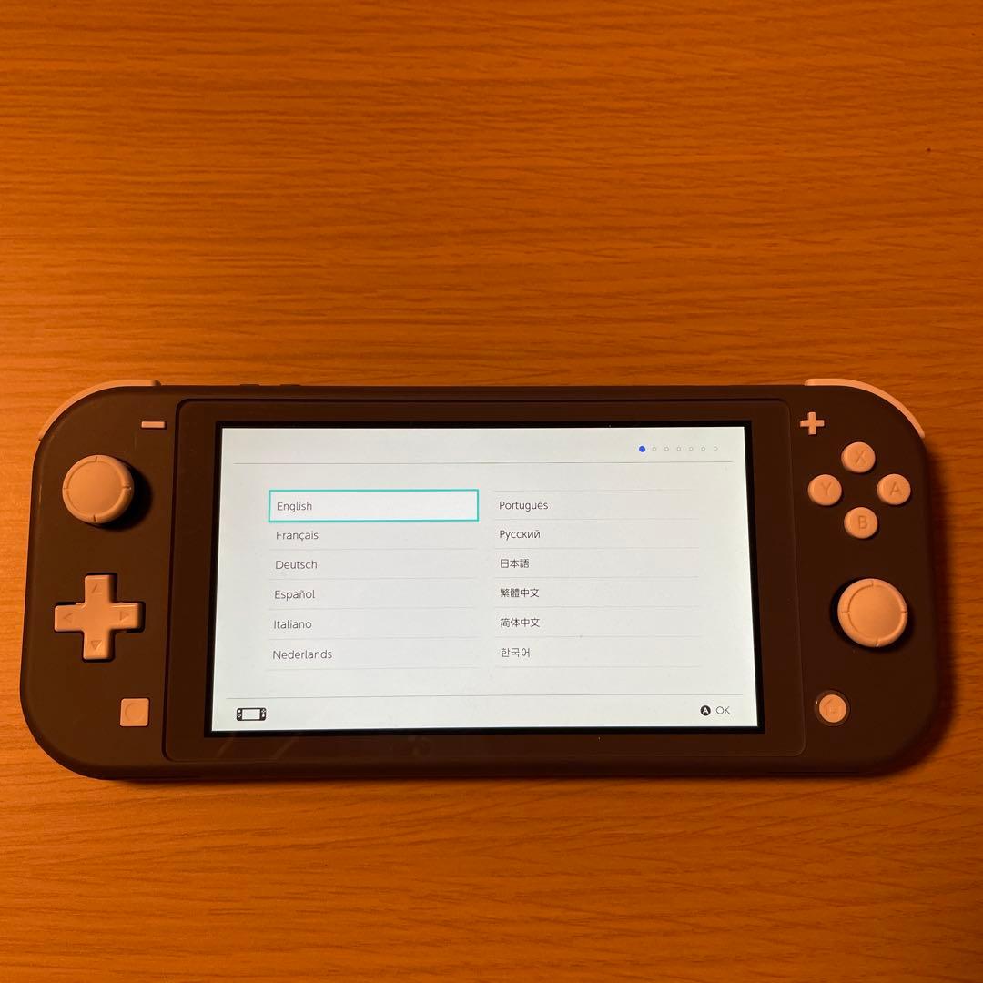 Nintendo Switch＋どうぶつの森　セット