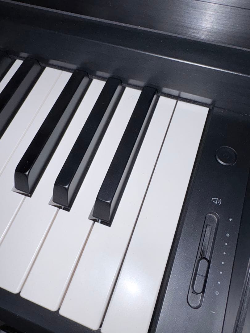 Lui55　KAWAI SCA401 MB