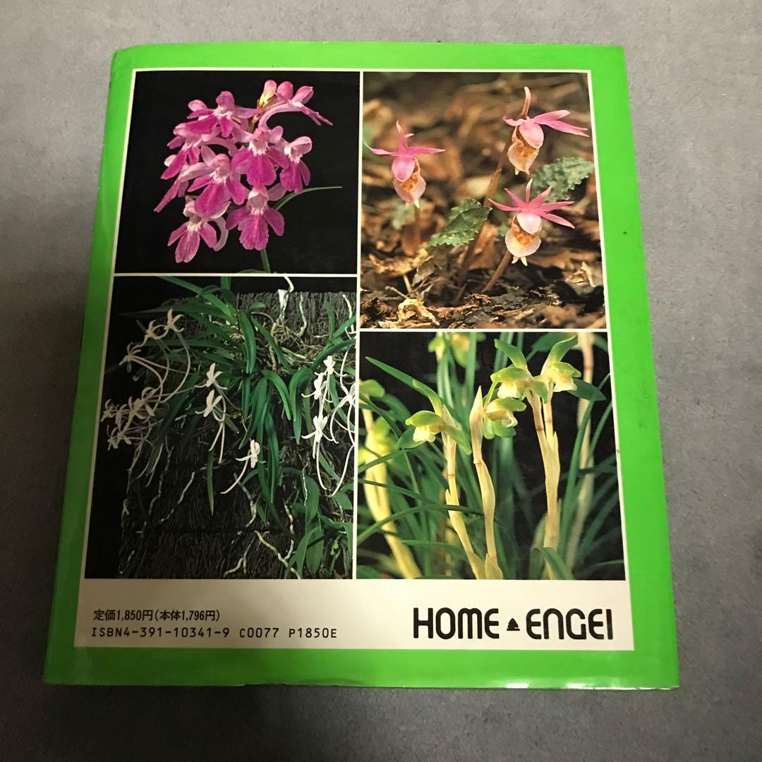 日本の野草　日本の高山植物　山と渓谷社　WILD FLOWERS JAPAN