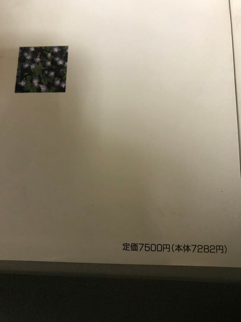 日本の野草　日本の高山植物　山と渓谷社　WILD FLOWERS JAPAN