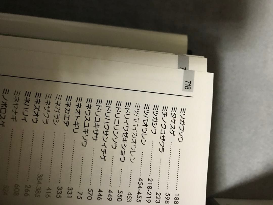 日本の野草　日本の高山植物　山と渓谷社　WILD FLOWERS JAPAN