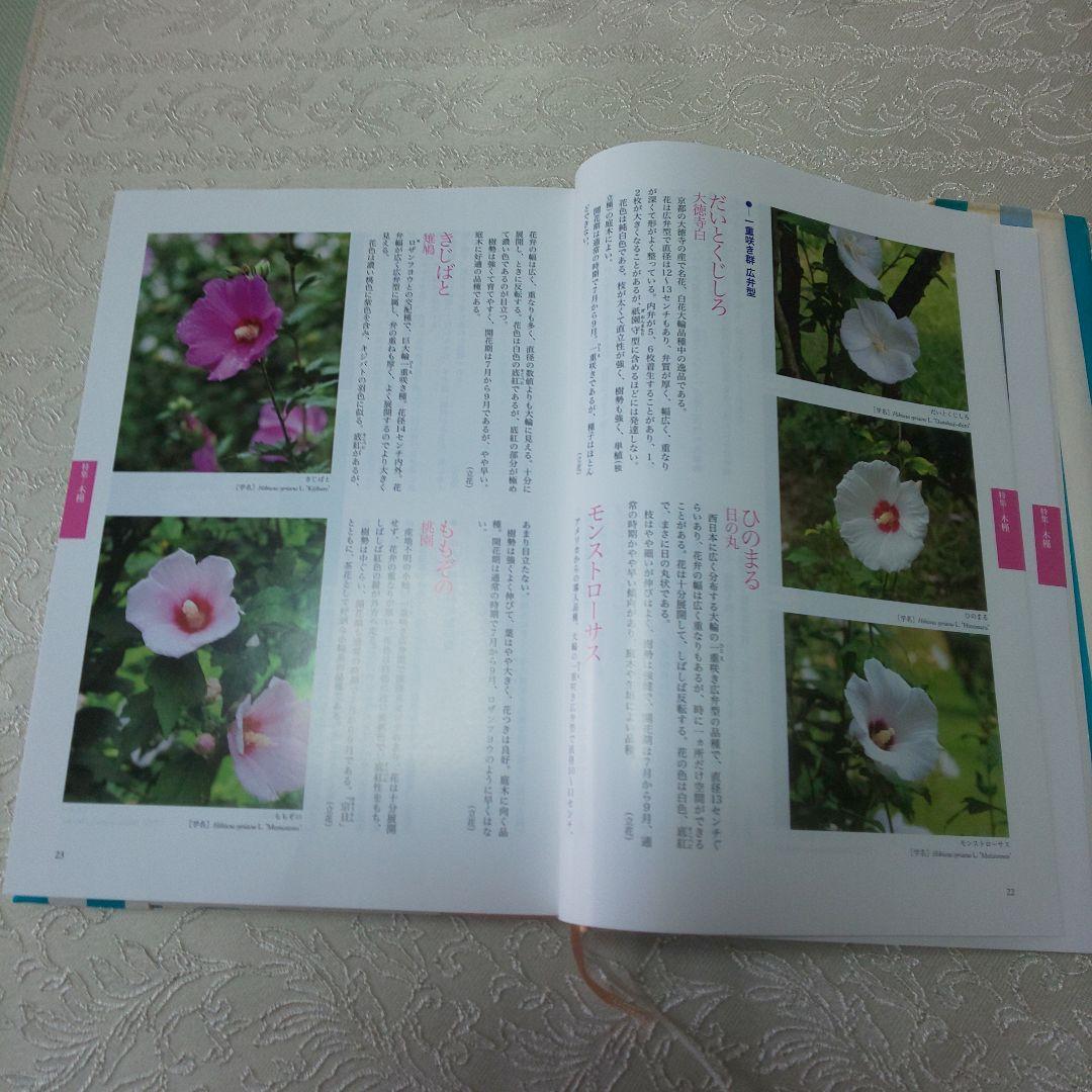 B 163 茶花大辞典 淡交社・7～12月