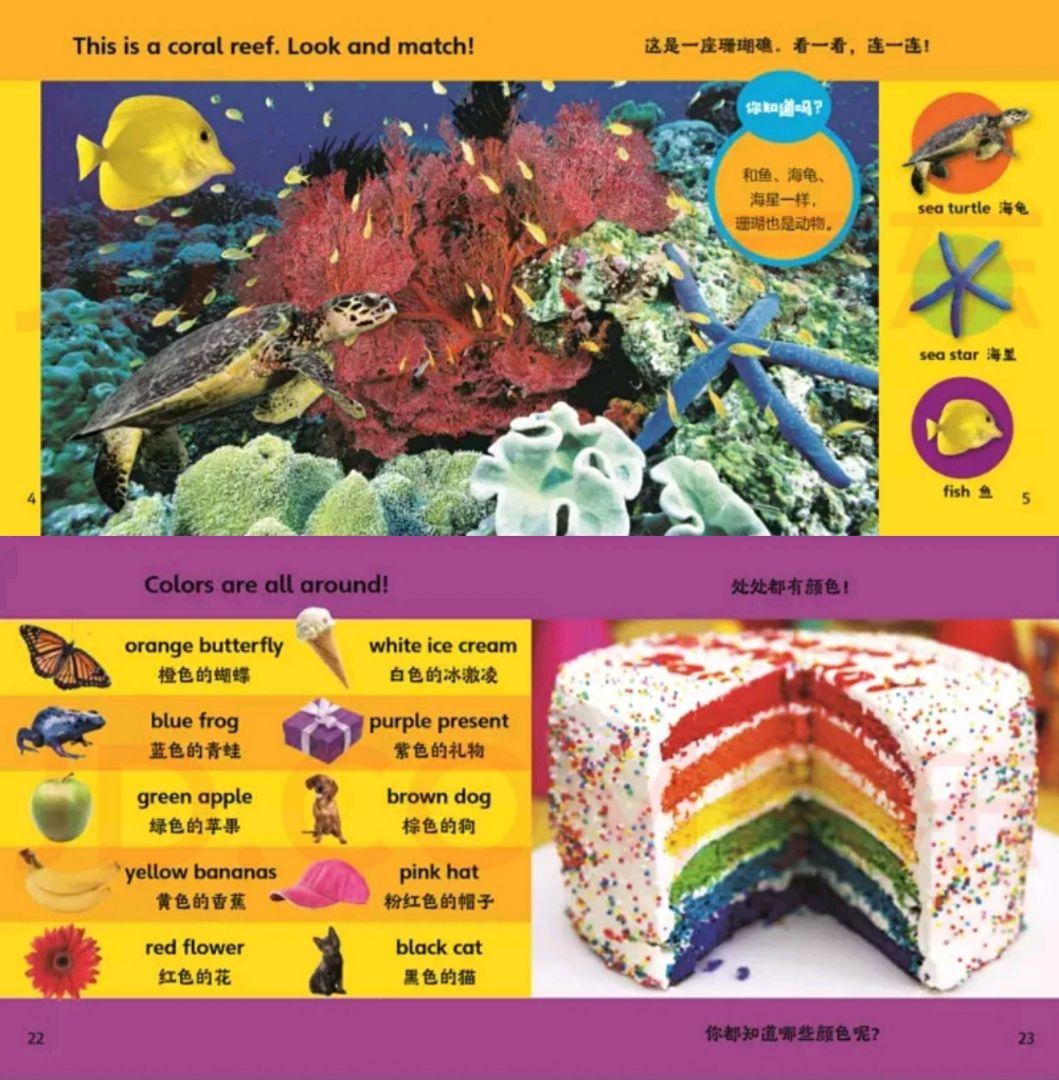 National Geographic Kids幼児版（CD付き）