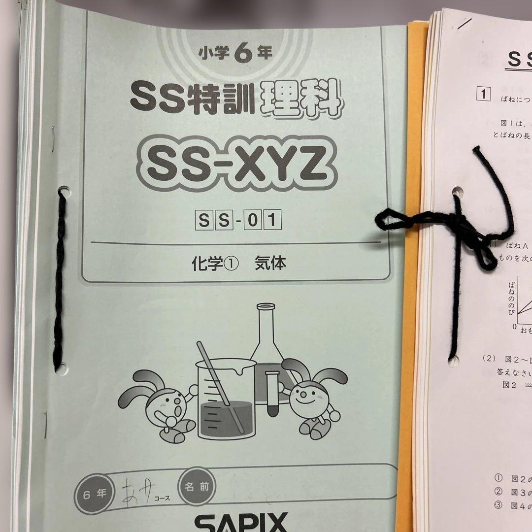 0㉓は　サピックス　SAPIX 小学6年 SS特訓 社会・理科　フルセット