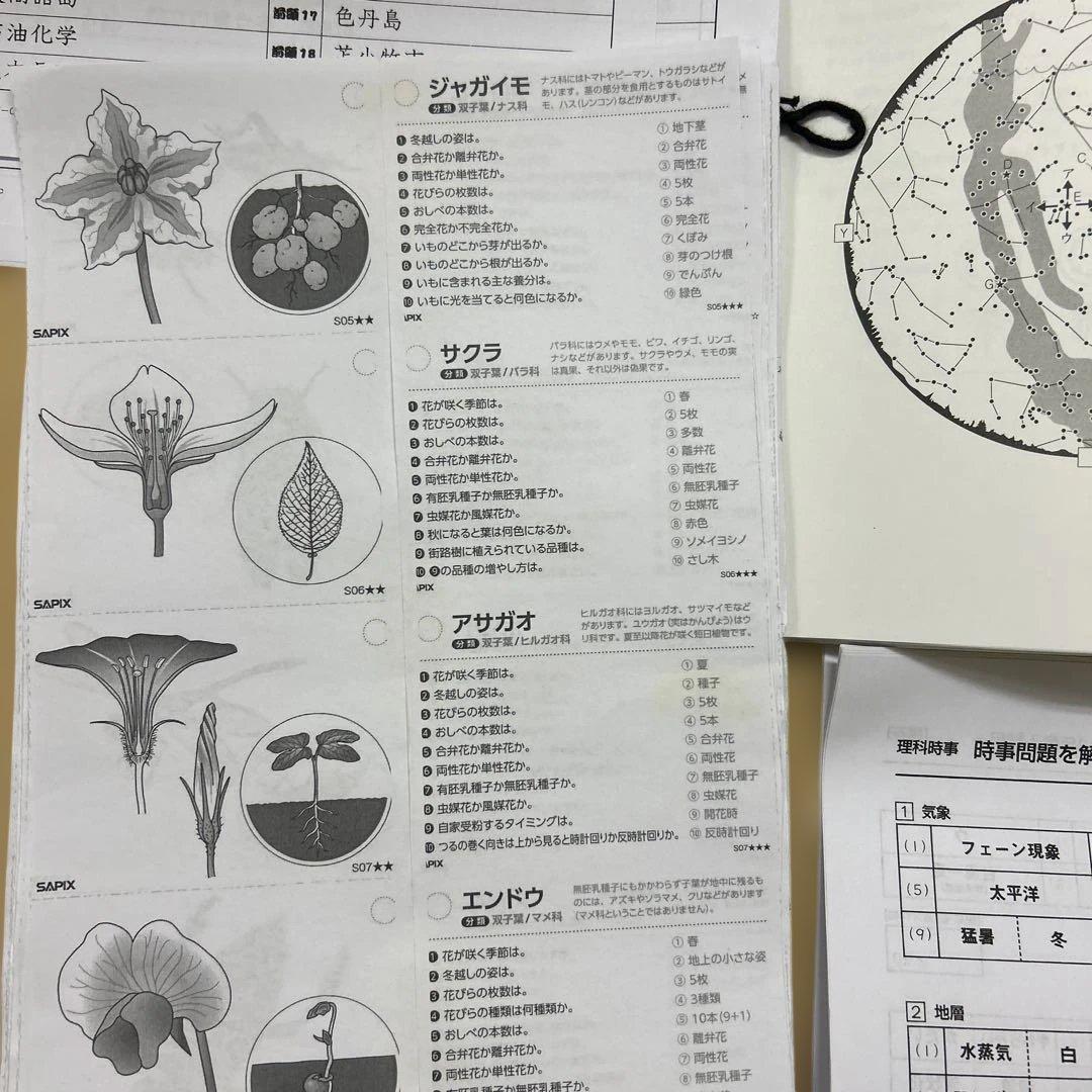 0㉓は　サピックス　SAPIX 小学6年 SS特訓 社会・理科　フルセット