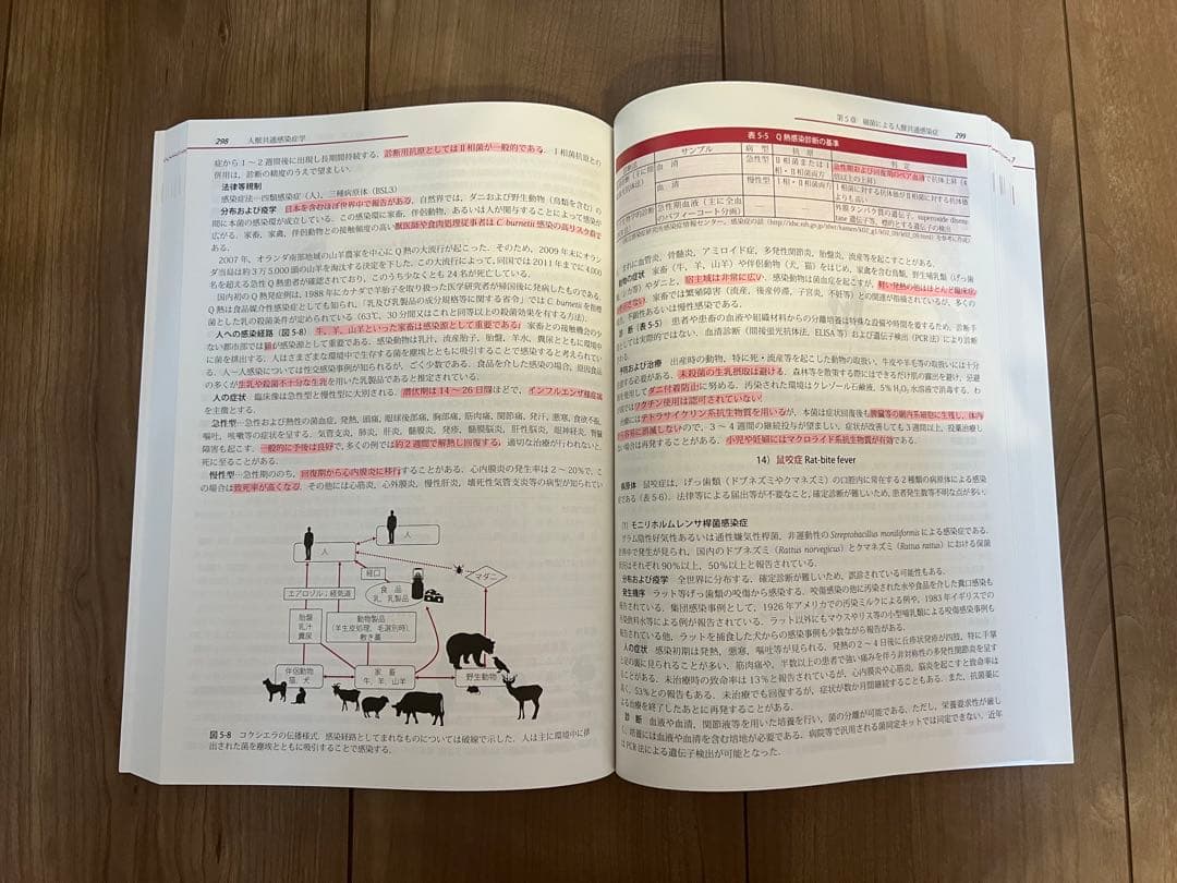 獣医公衆衛生学 文永堂出版