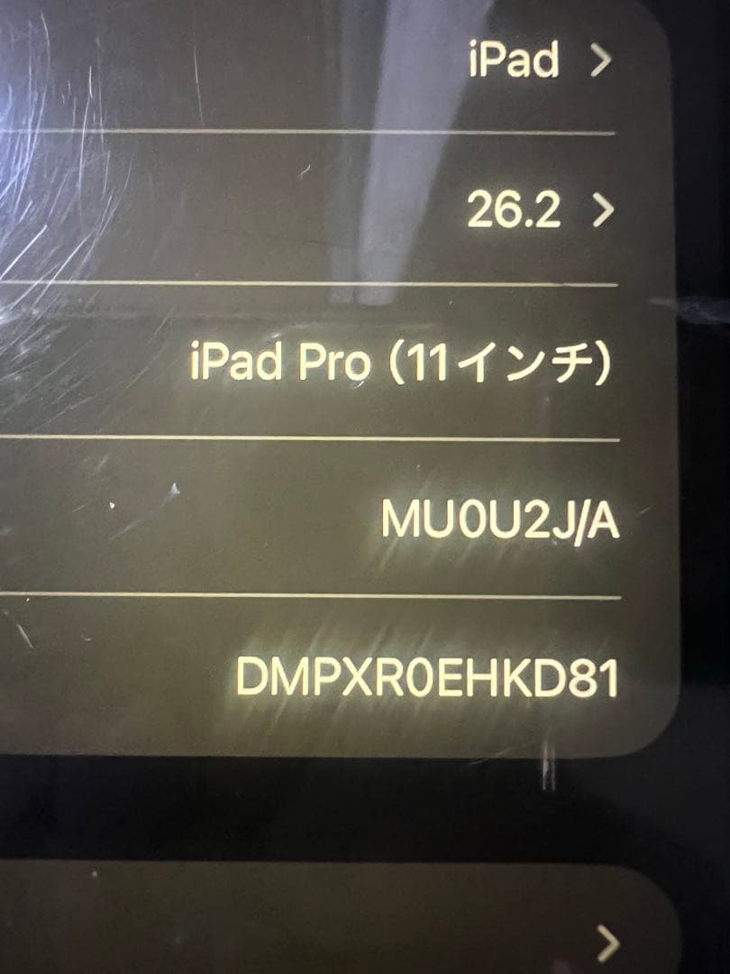 ジャンクiPad Pro (第1世代)11インチ