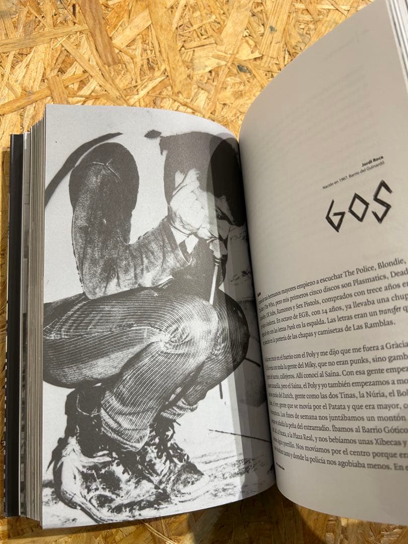 HARTO DE TODO スペインパンク/ハードコア文化 本、書籍、BOOK