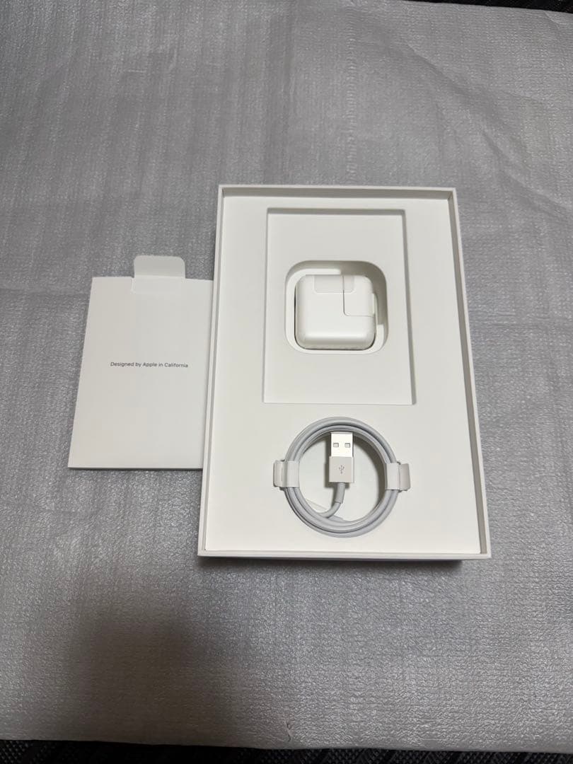 美品　iPad mini 5世代　バッテリー良好　64GB　SIMフリー