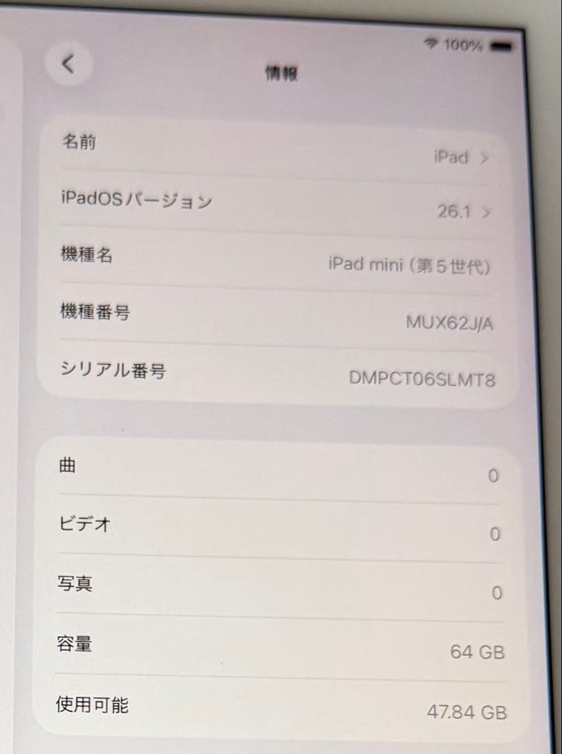 美品　iPad mini 5世代　バッテリー良好　64GB　SIMフリー