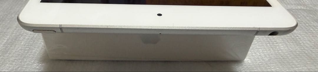 美品　iPad mini 5世代　バッテリー良好　64GB　SIMフリー