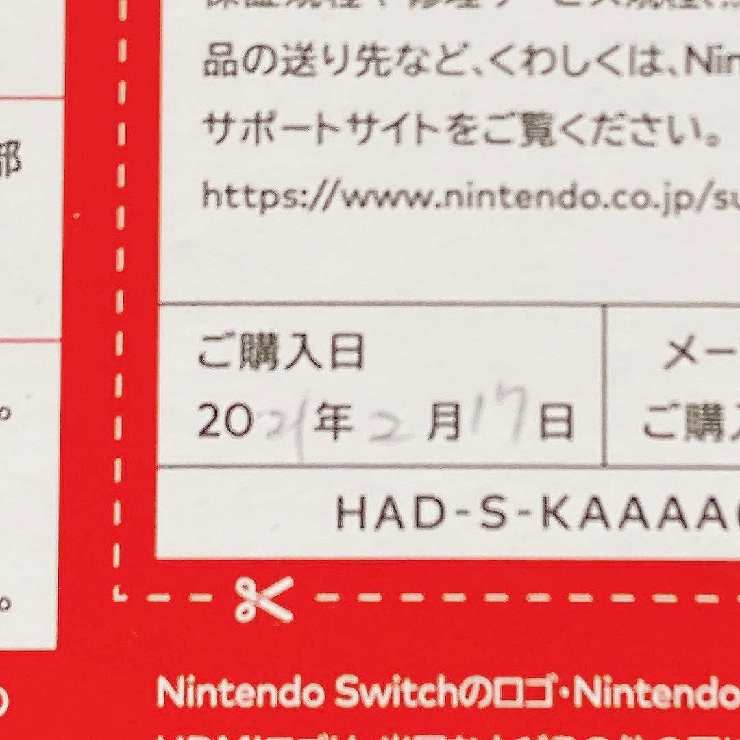 ニンテンドウ スイッチ本体（グレー）＋プロコン×2台＋おまけ5点
