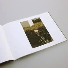 【William Eggleston ：Flowers 】★★未開封新品・美本