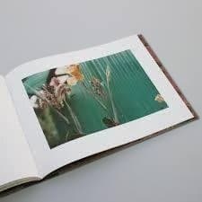 【William Eggleston ：Flowers 】★★未開封新品・美本