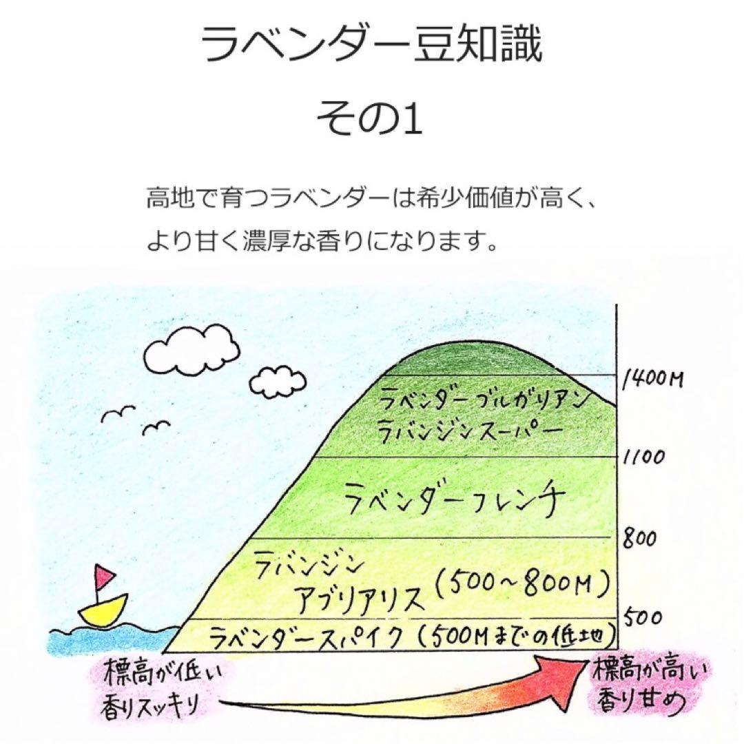 真正ラベンダーブルガリアン　エッセンシャルオイル　安眠　リラックス