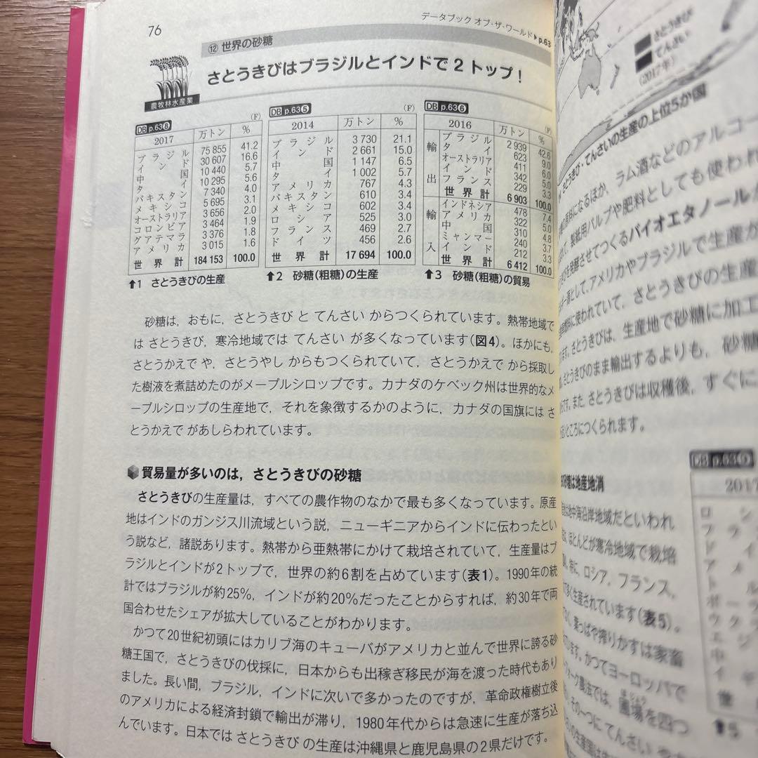共通テスト地理参考書