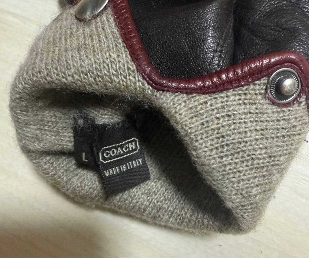 COACH leather gloves コーチ レザーグローブ (革手袋)