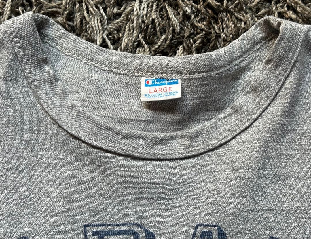 70sチャンピオントバータグTシャツLアメリカ製 染み込みALBANY