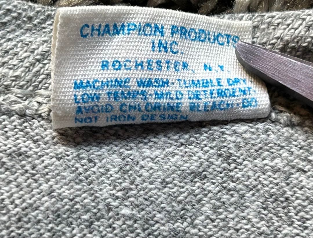 70sチャンピオントバータグTシャツLアメリカ製 染み込みALBANY