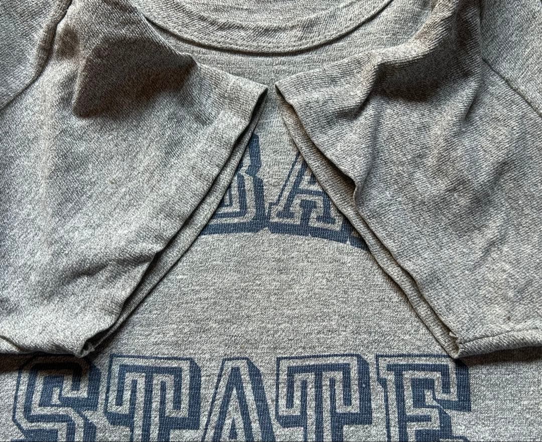 70sチャンピオントバータグTシャツLアメリカ製 染み込みALBANY