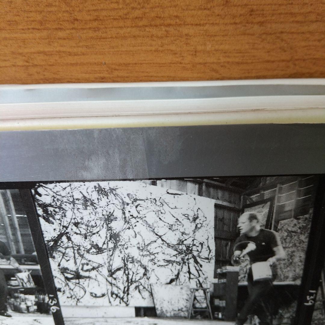 Jackson Pollock 英語版 Ellen G. Landau (著)