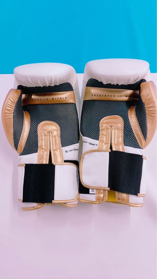 EVERLAST 　グローブ 14オンス　白　ボクシング　エバーラスト