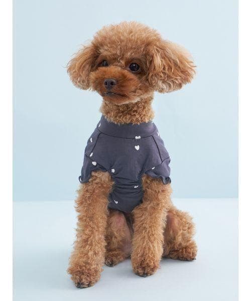 ジェラートピケ「CAT＆DOG」「接触冷感」ハート柄プルオーバー（M）×2