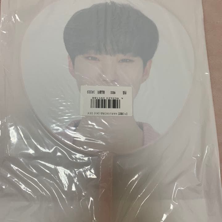 SEVENTEEN セブチ　ホシ　うちわ10枚セット