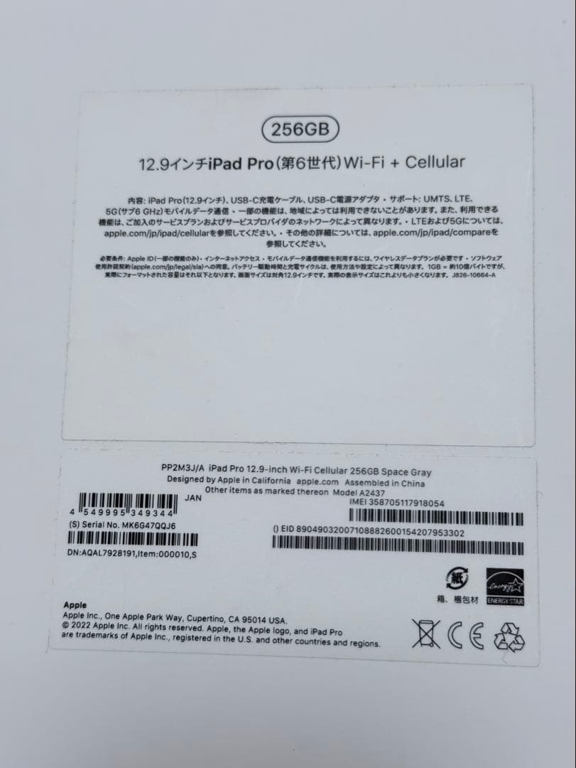 iPadPro 12.9 第6世代 256GB Cellular Pencil付