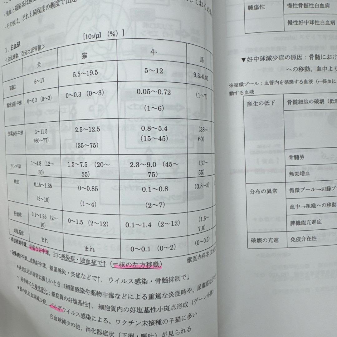 北大まとめ
