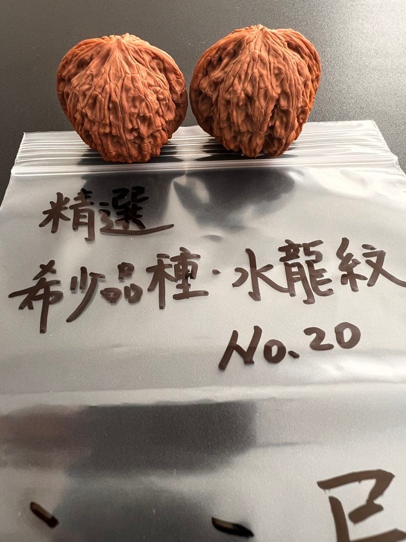 遊び胡桃 精選 希少品種 水龍紋No.19くるみ 趣味健康グッズ コレクション