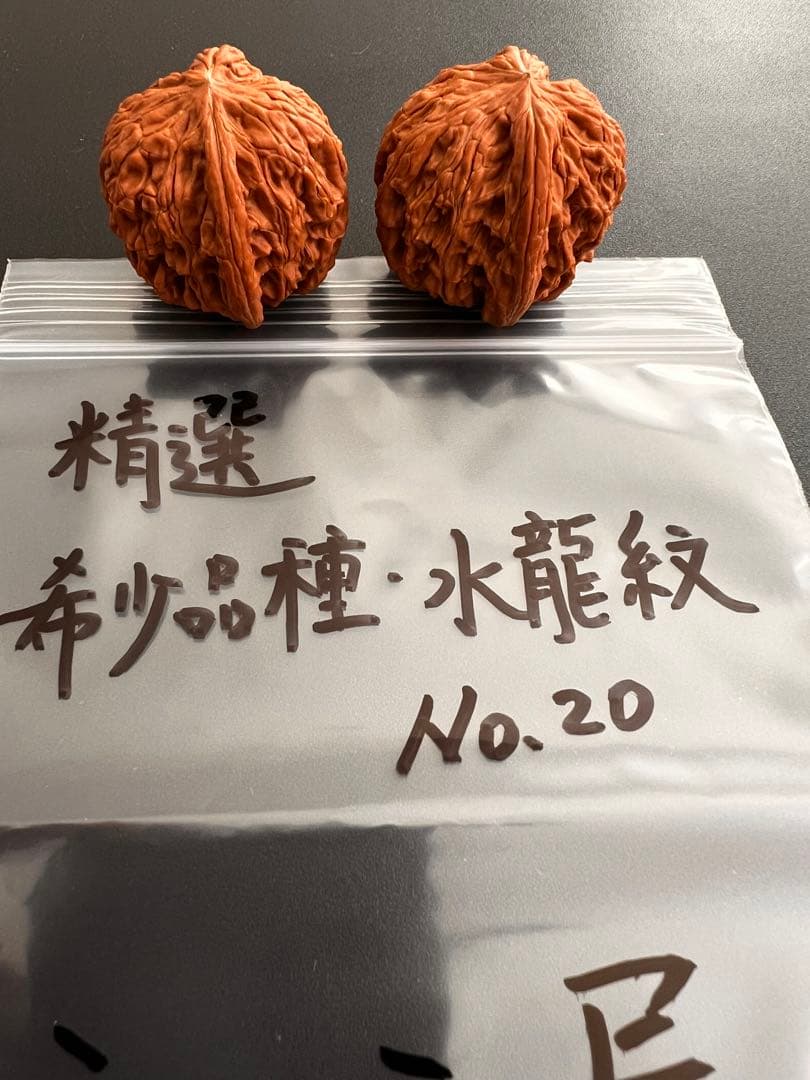 遊び胡桃 精選 希少品種 水龍紋No.19くるみ 趣味健康グッズ コレクション
