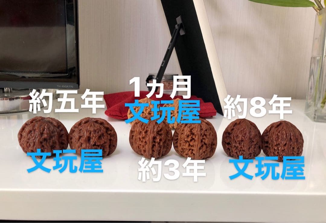 遊び胡桃 精選 希少品種 水龍紋No.19くるみ 趣味健康グッズ コレクション