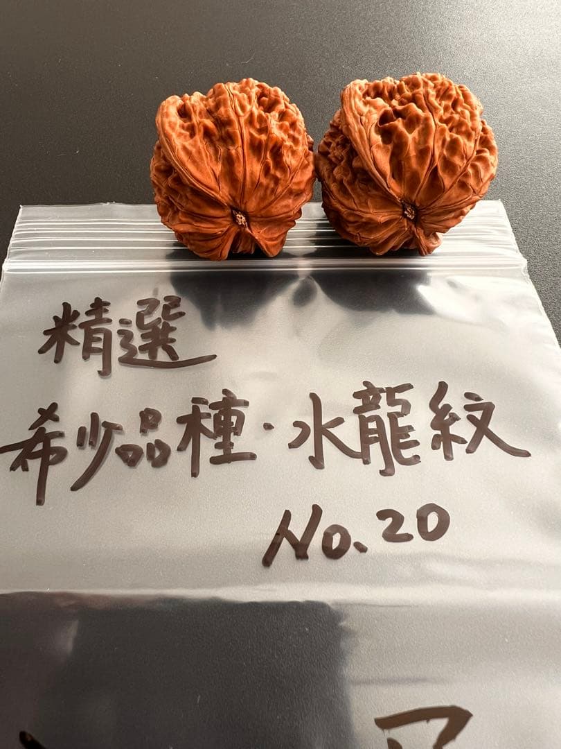 遊び胡桃 精選 希少品種 水龍紋No.19くるみ 趣味健康グッズ コレクション